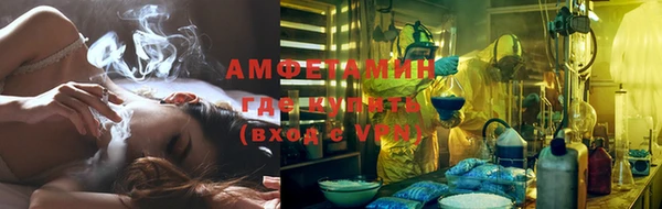 молекула духа Козельск