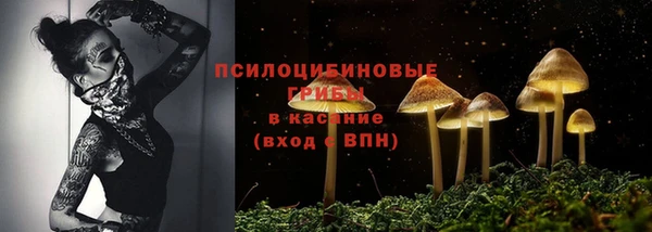 трава Кодинск
